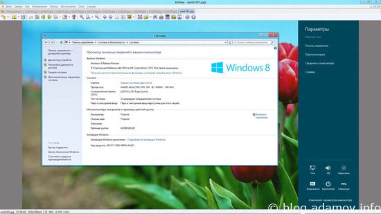 Windows 8 я поставил на мини-компьютер, который пару лет у меня лежал без  дела. "Тормозов" я не увидел, впрочем, я на нем работать не собираюсь
